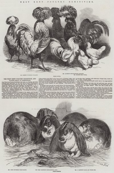 West Kent Poultry Exhibition by Harrison William Weir